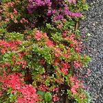 Parque de Campismo Woodmans Huts