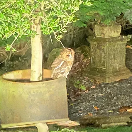 Woodmans Huts Campeggio Haverthwaite