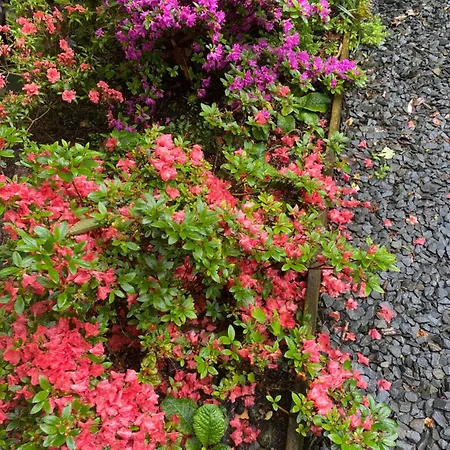 Кемпинг Woodmans Huts