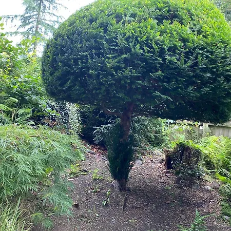 Кемпинг Woodmans Huts *