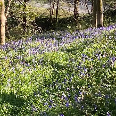 Woodmans Huts Кемпинг
